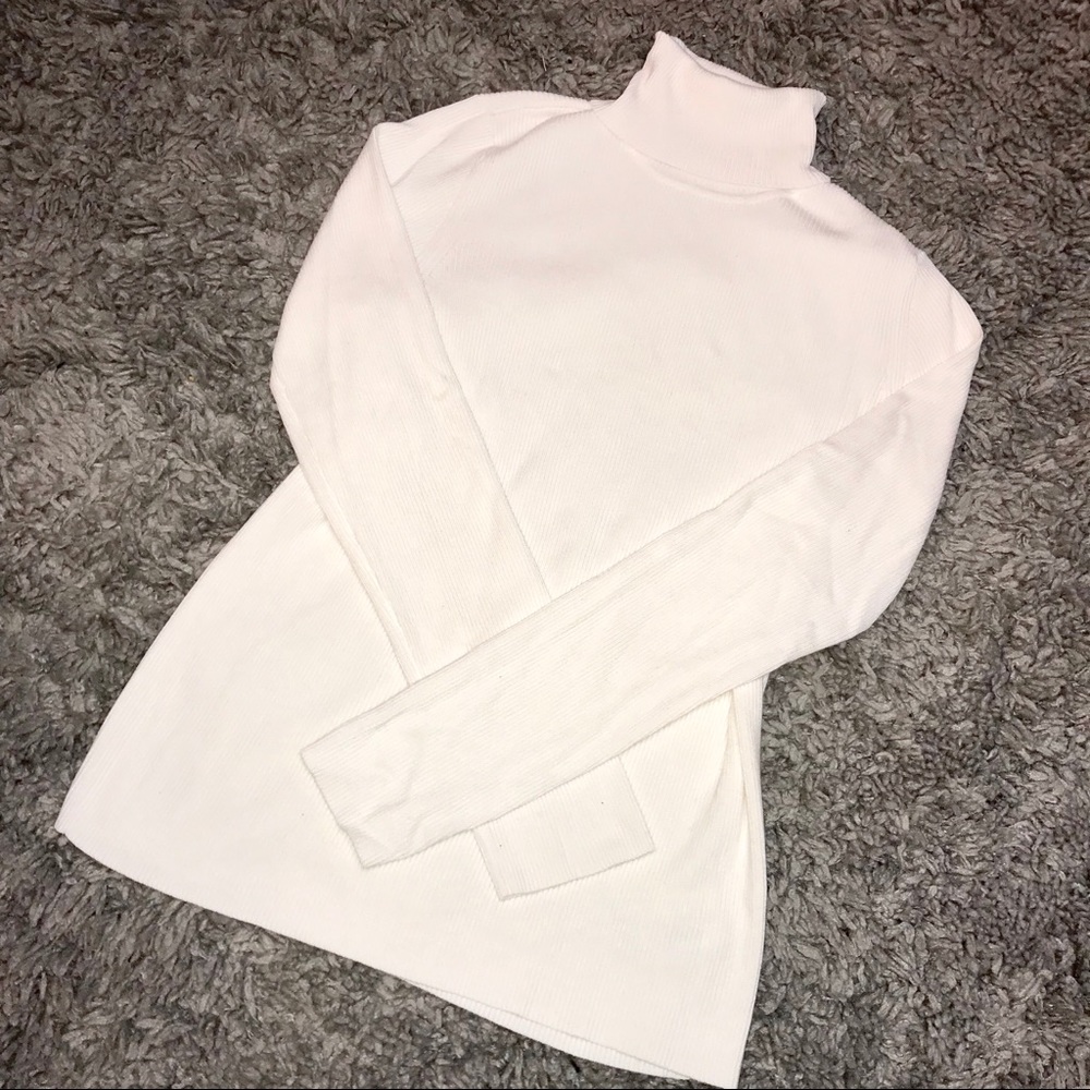 The Limited Ribbed Turtle Neck